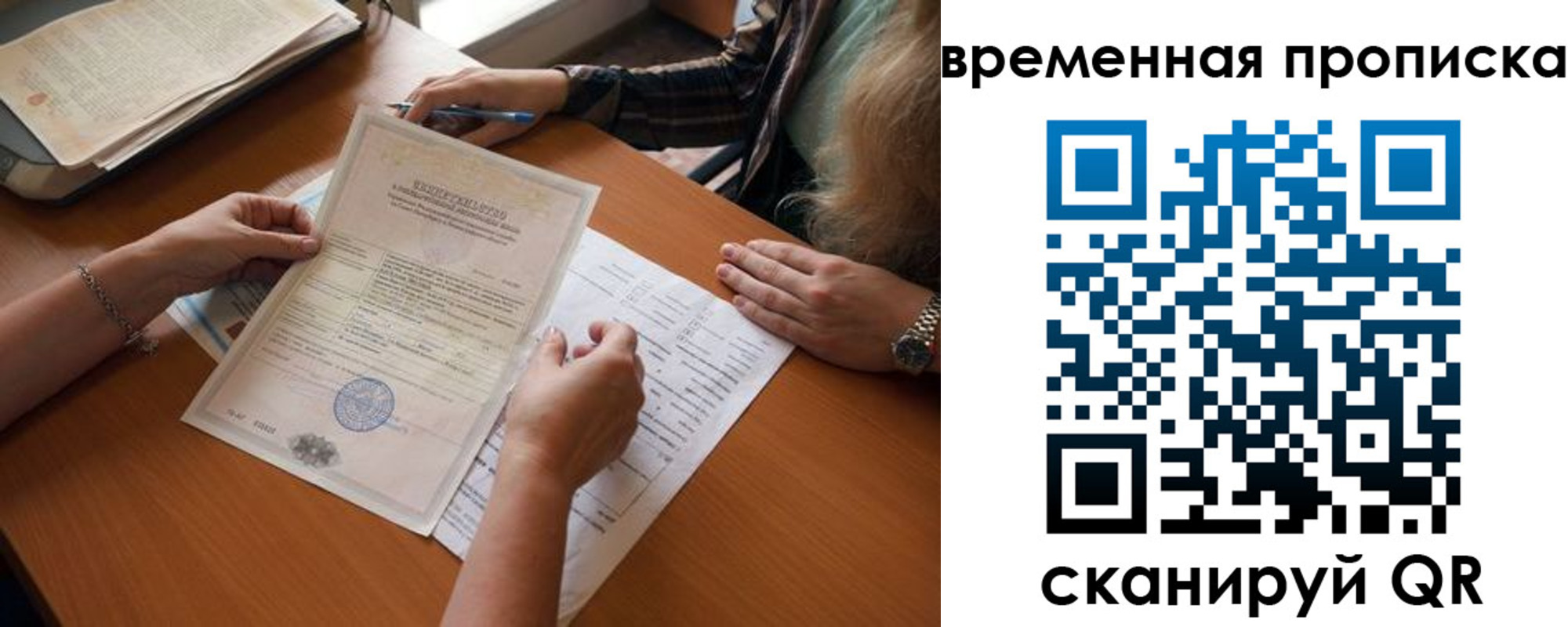 прописка в Александровске