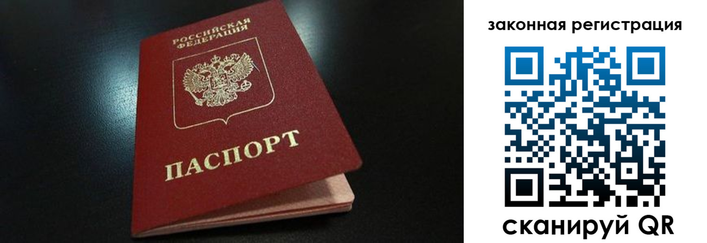 прописка штамп в Александровске