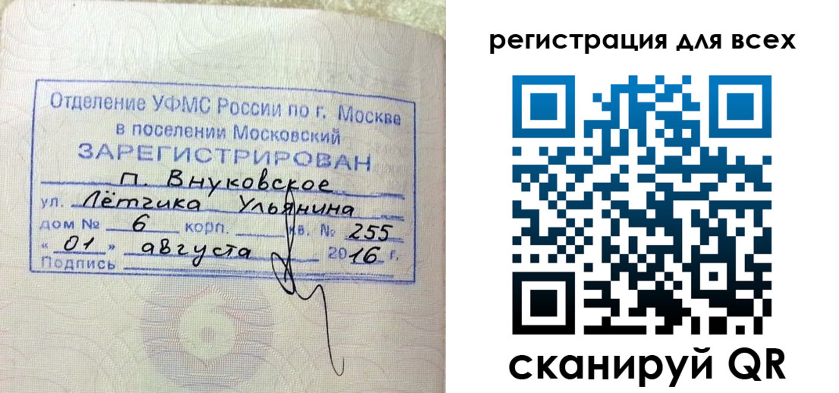 прописка 2025 в Александровске